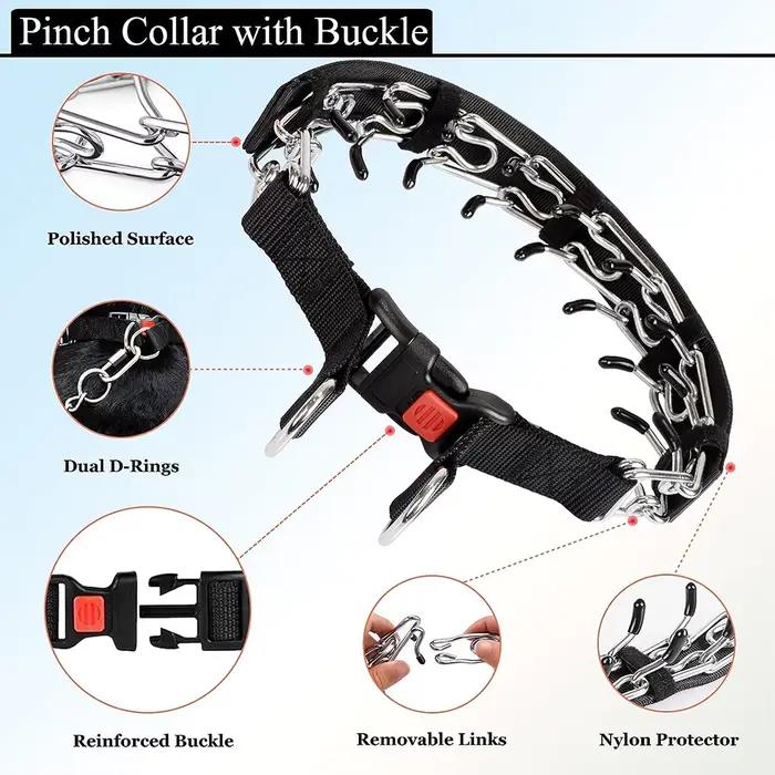 Collier de starter pour chiens