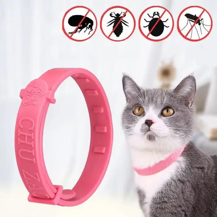 Collier pour chien et chat