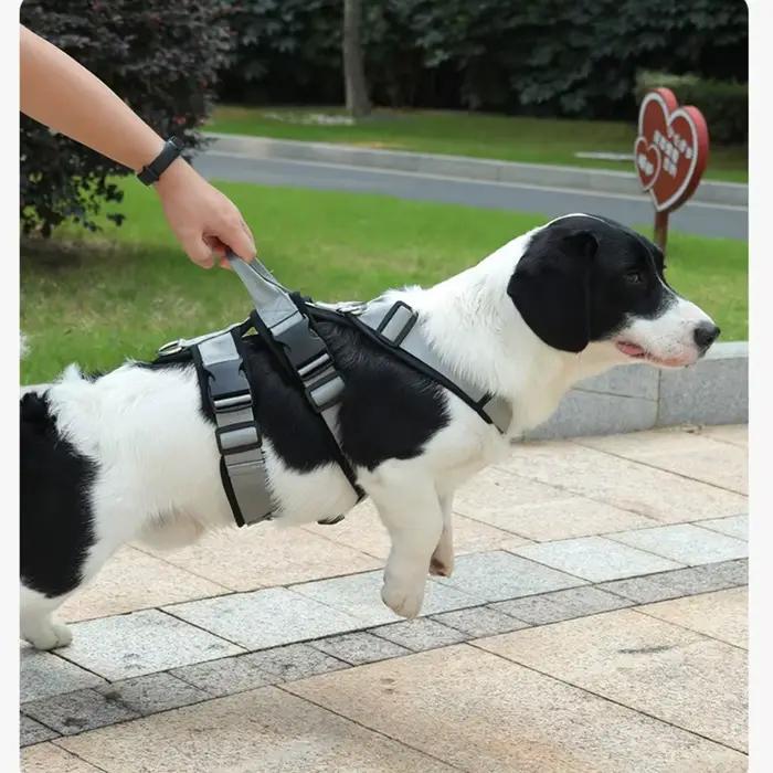 Harnais réglable anti-traction pour chien et laisse d'entraînement robuste anti-évasion pour chiens de taille moyenne à