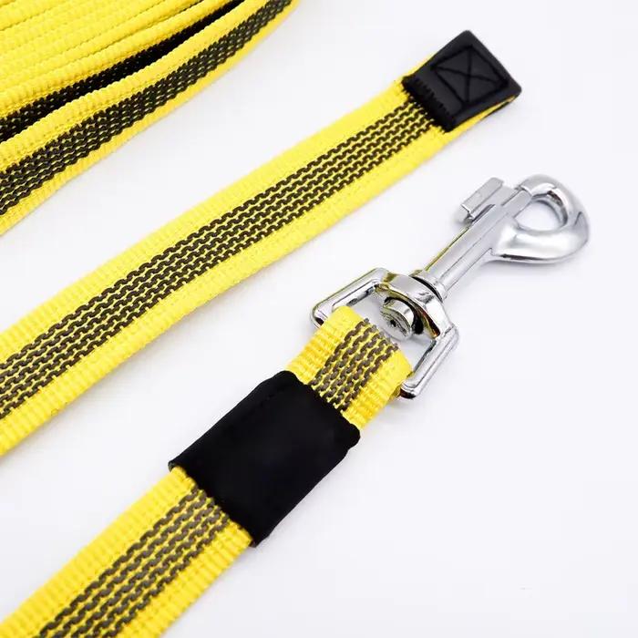 Laisse pour chien de 5m