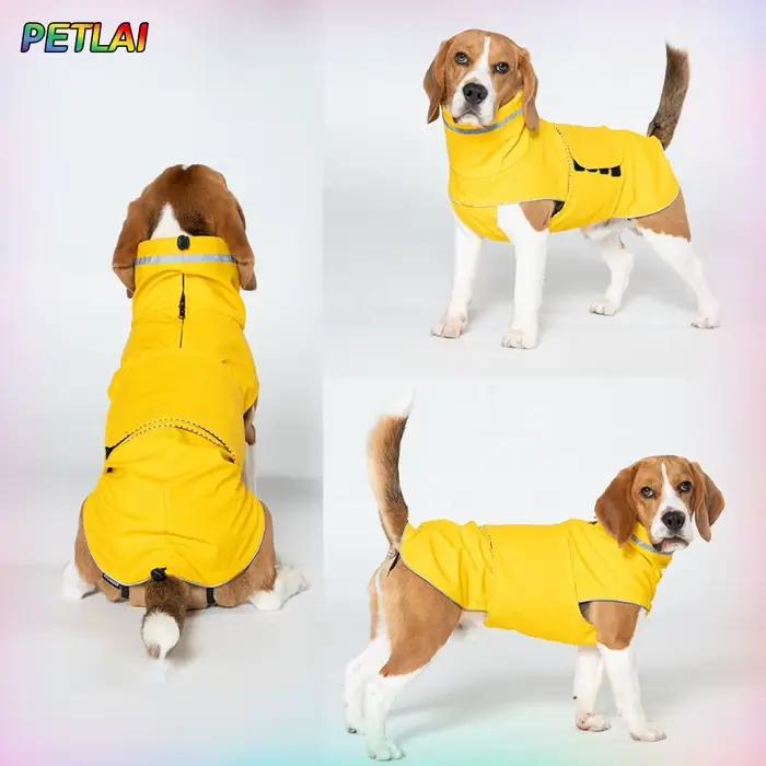 Veste d'extérieur imperméable et anti-poussière pour chien