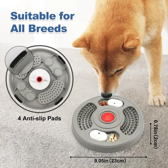 Bol pour chien, bol pour animaux de compagnie