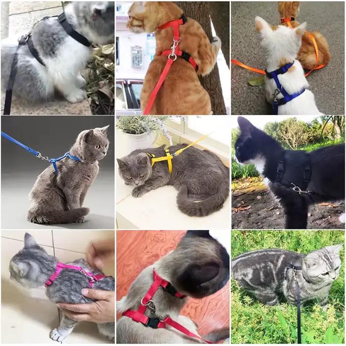 Collier réglable en nylon pour animal de compagnie