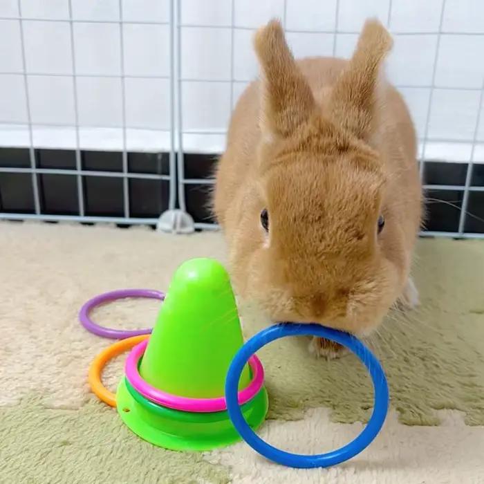 Jouet de virole de lapin en forme de cône de crème glacée aléatoire