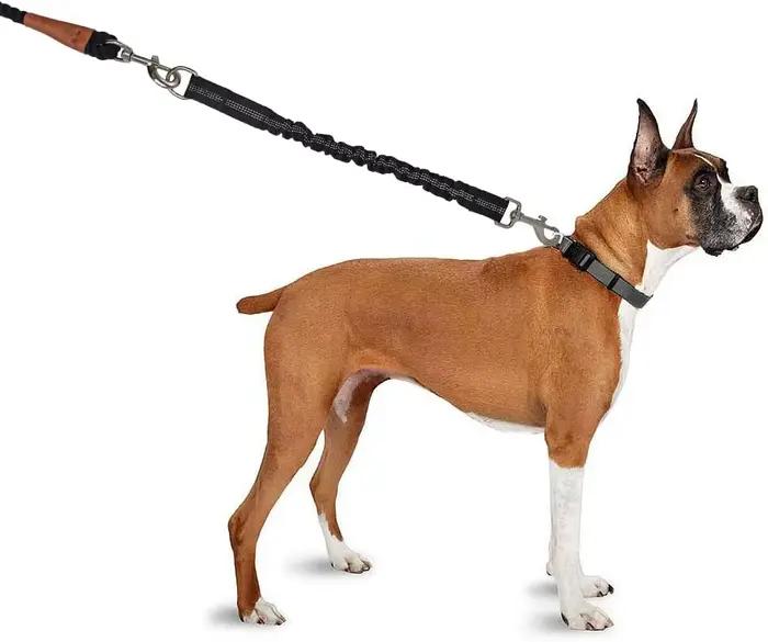 Extension de laisse pour chien - Réglable et extensible