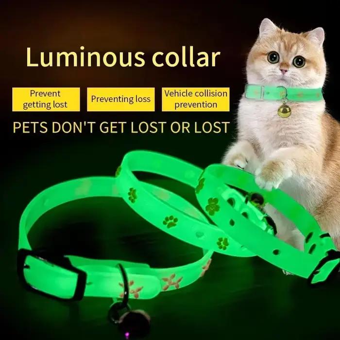 Collier pour animaux de compagnie en Silicone Fluorescent pour chiens