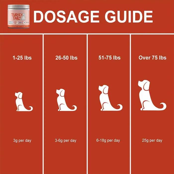 Granulés probiotiques doux pour chiens