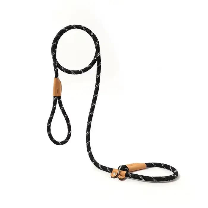 Laisse de dressage pour chien 5/6 pieds