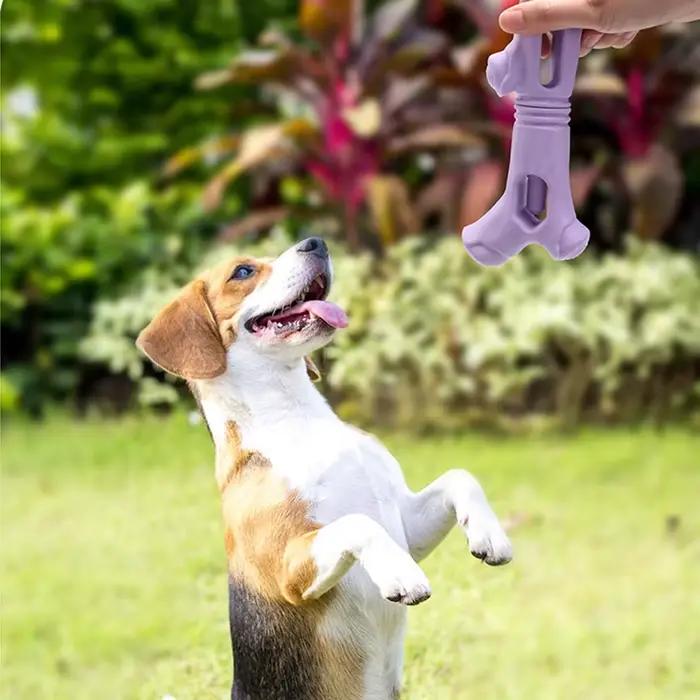 Jouets durables pour chiens en forme de branche