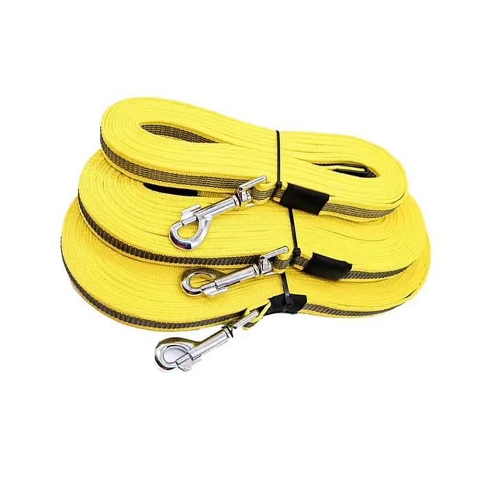 Laisse pour chien de 5m