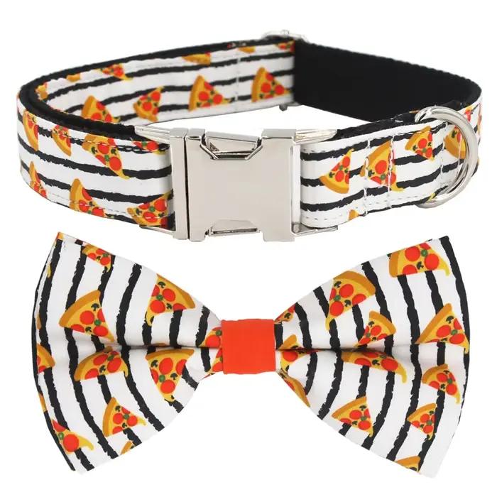 Collier et laisse pour chien