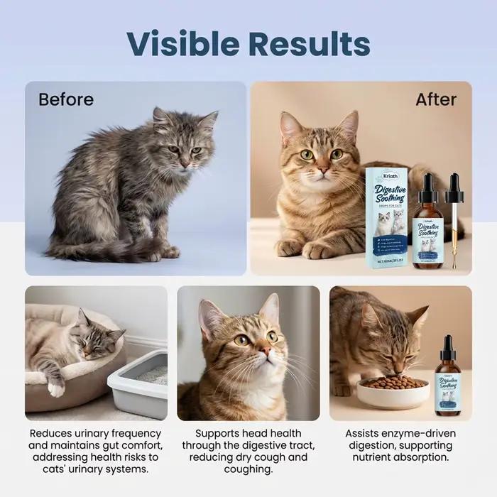 Gouttes apaisantes pour la digestion des chats