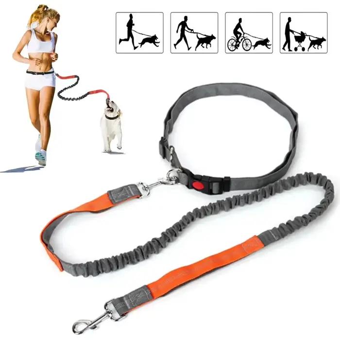 Laisse rétractable pour chien avec corde de taille réglable