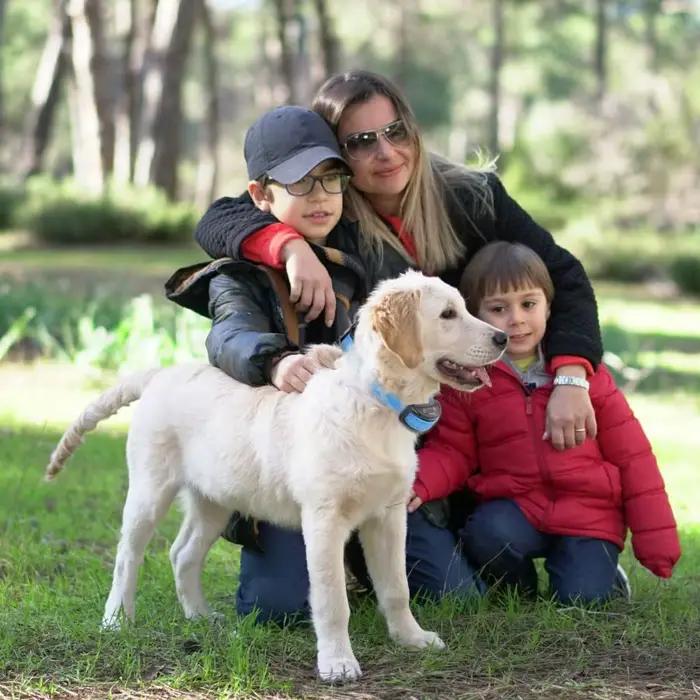 Collier anti-aboiement pour chiens