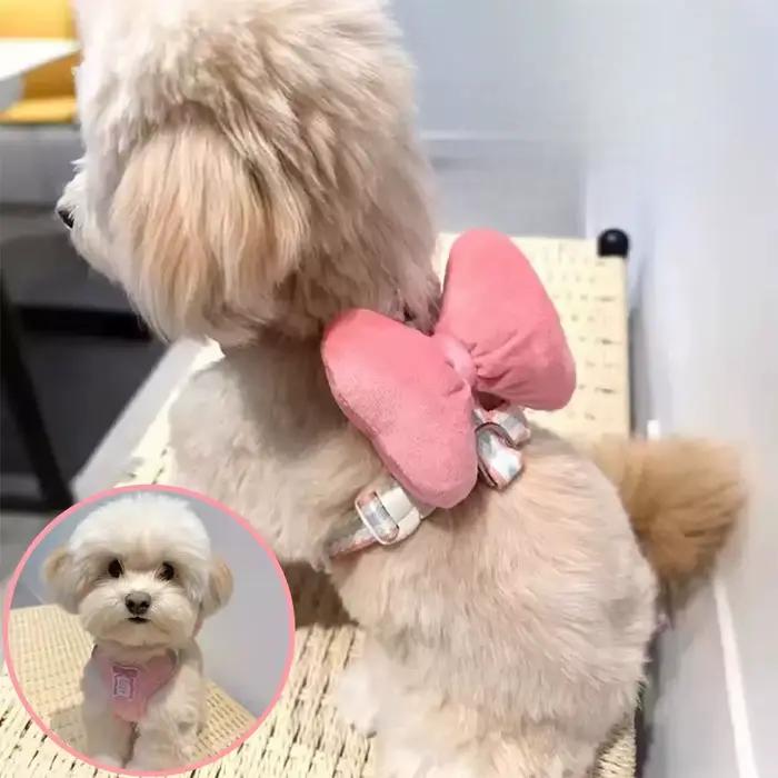 Harnais et laisse pour chiot