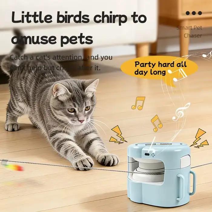 Jouets interactifs pour chats