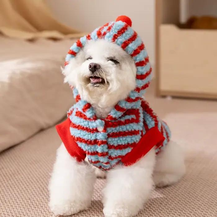 Sweat à capuche pour chien à motif de dessin animé rayé