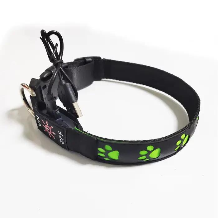 Collier de chien Shoous pour la marche
