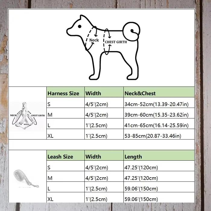 Laisse de collier pour chien