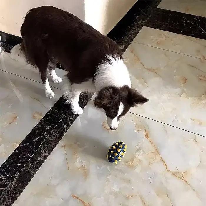 Jouet en caoutchouc pour chien