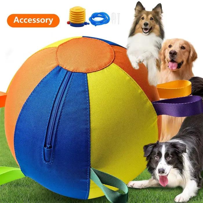 Balles pour chien portables