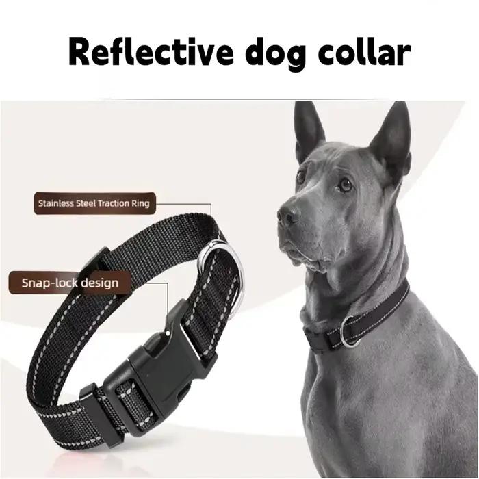 Collier réfléchissant pour chiens de taille moyenne et grande