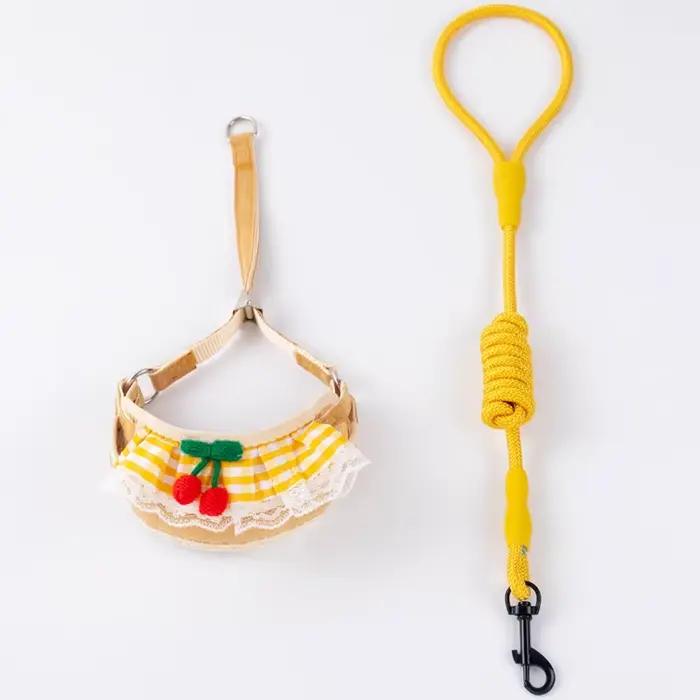 Laisse SFP mignonne pour petit chien et chat