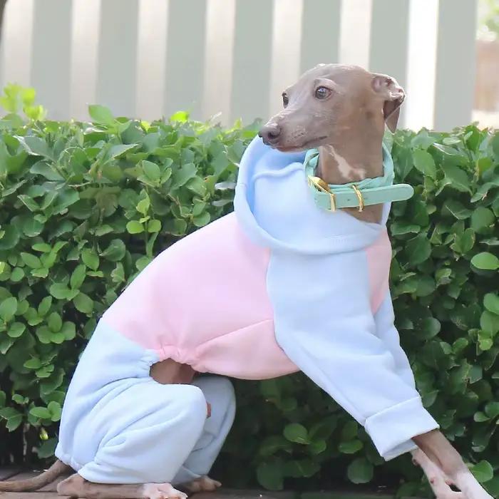 Hiver chien sweat à capuche Whippet manteaux pour animaux de compagnie Pyjamas