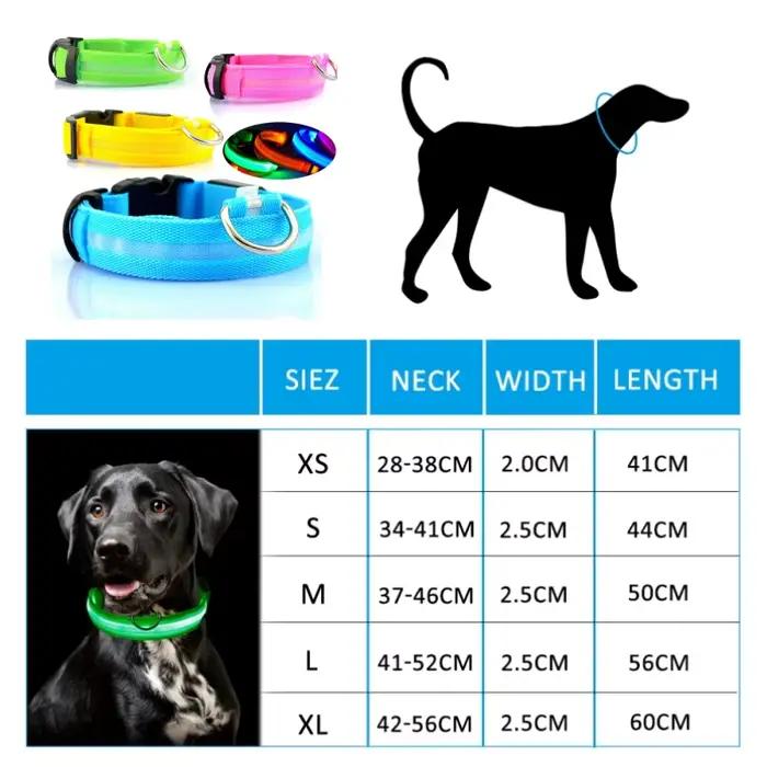 Collier Anti-perte pour chien
