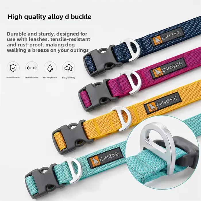 Nouveau collier pour chien
