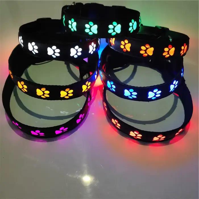 Collier de chien Shoous pour la marche
