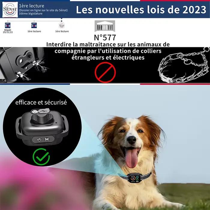 Collier d'écorce pour chien