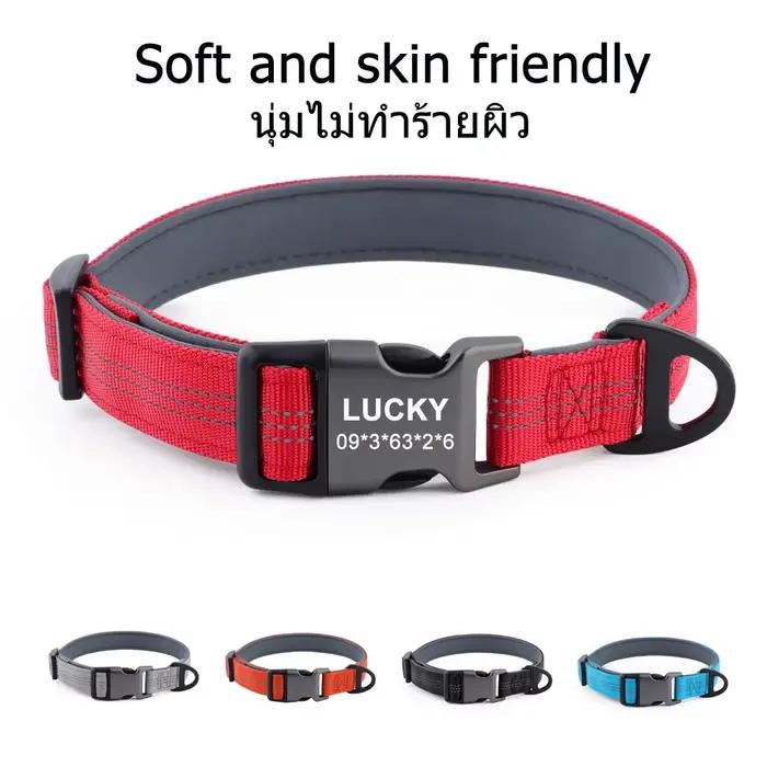 Collier personnalisé avec nom d'animal de compagnie