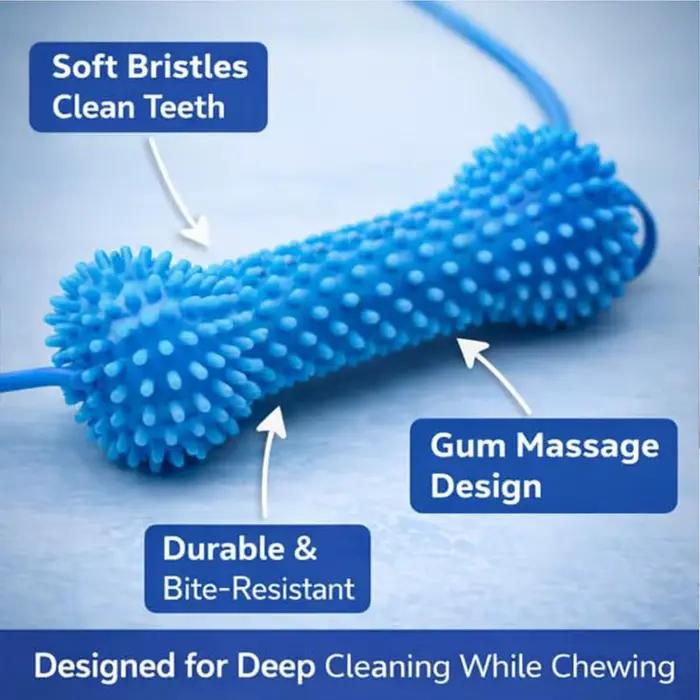 Brosses à dents en caoutchouc souple pour chiens