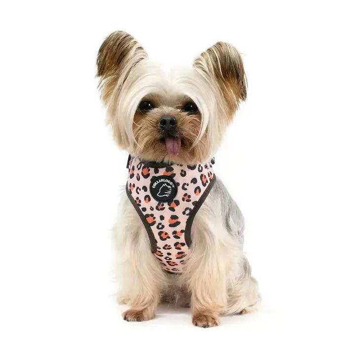 Collier réglable pour chien Collarlogo