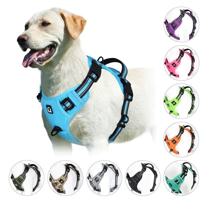 Chien sans côtes SFP, glaçure douce rembourrée réglable pour animaux de compagnie