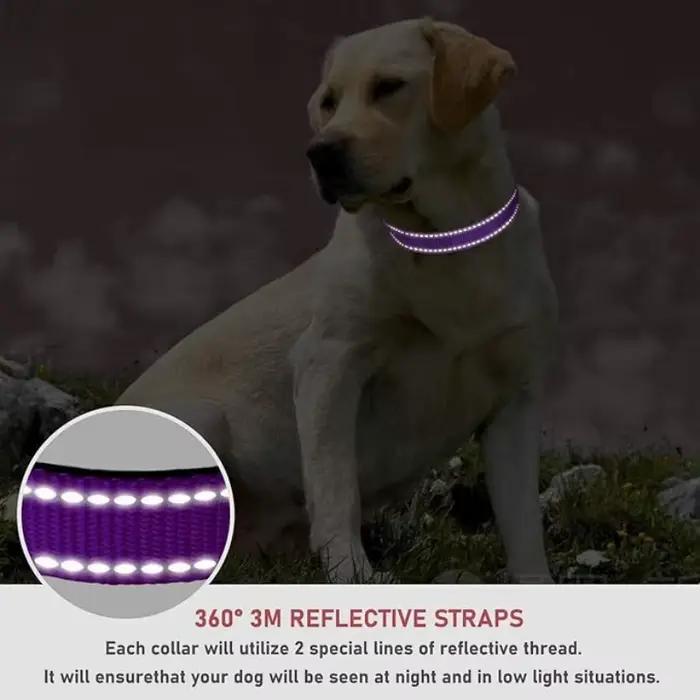 Collier réfléchissant pour chiens de taille moyenne et grande