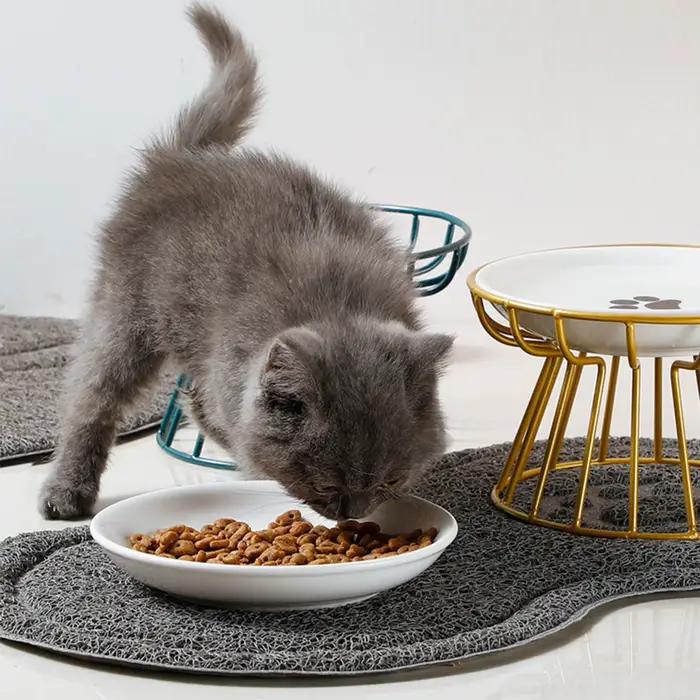 Bol surélevé en céramique pour animaux de compagnie
