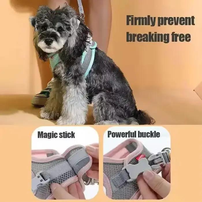 Accessoires pour chats et chiens : Harnais de sécurité respirant et réglable pour petits