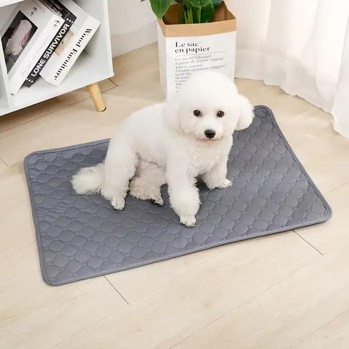 Couverture absorbante réutilisable pour chien