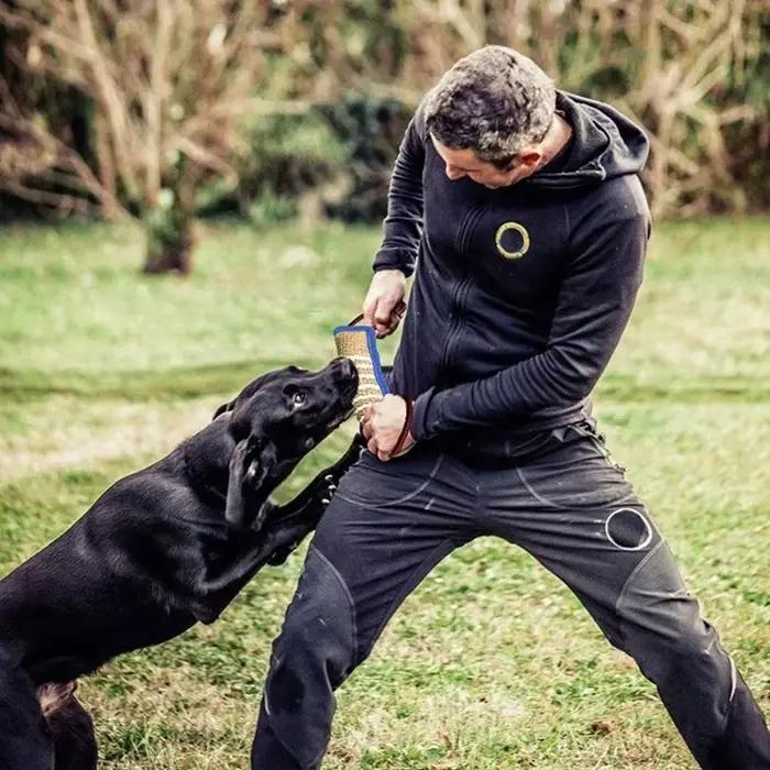 Bâtons à mâcher en jute brute pour chiens