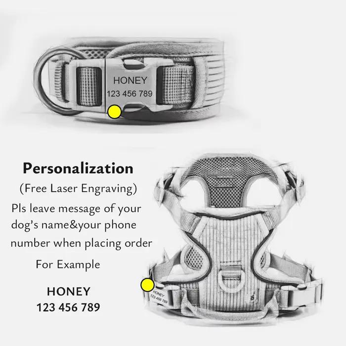Collier pour chien personnalisé