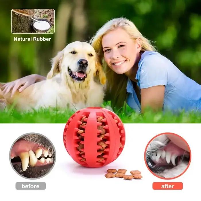Distributeur de friandises pour animaux de compagnie
