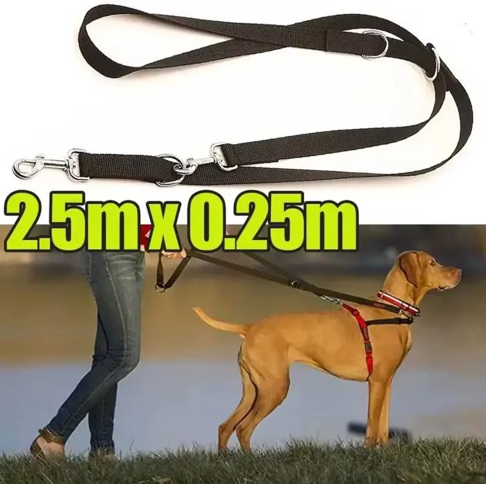 Laisse pour chien réglable de 250 cm x 2