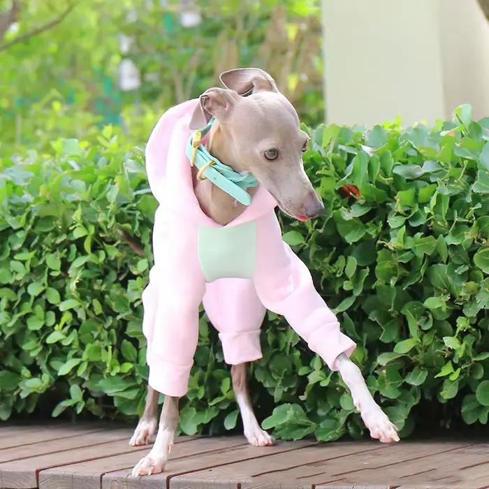 Hiver chien sweat à capuche Whippet manteaux pour animaux de compagnie Pyjamas