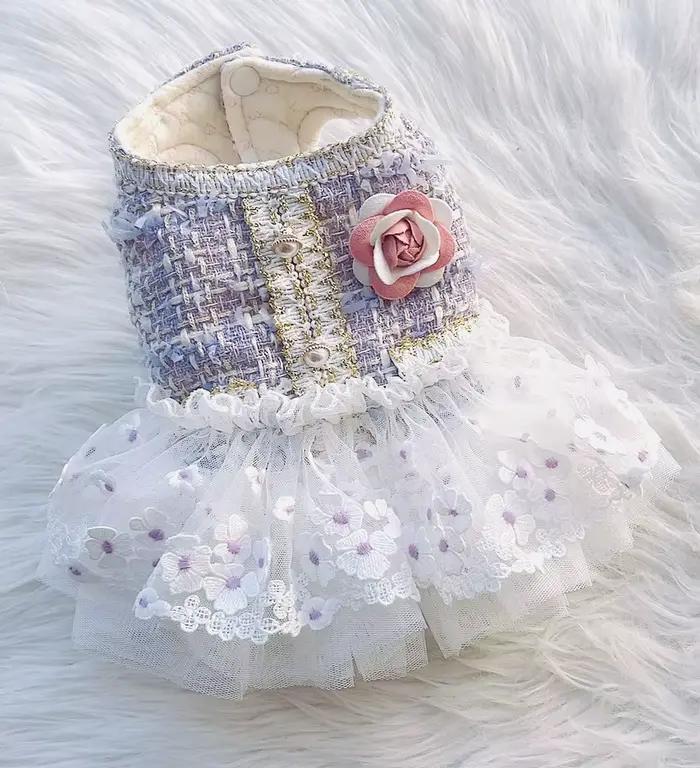 Manteau d'hiver en coton avec jupe en dentelle pour chiots