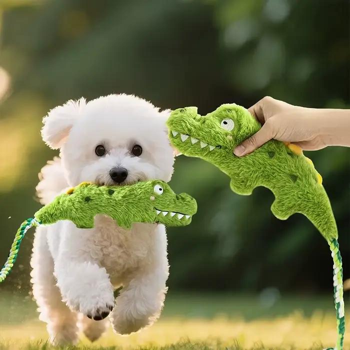 Jouets en peluche pour chiens grinçants