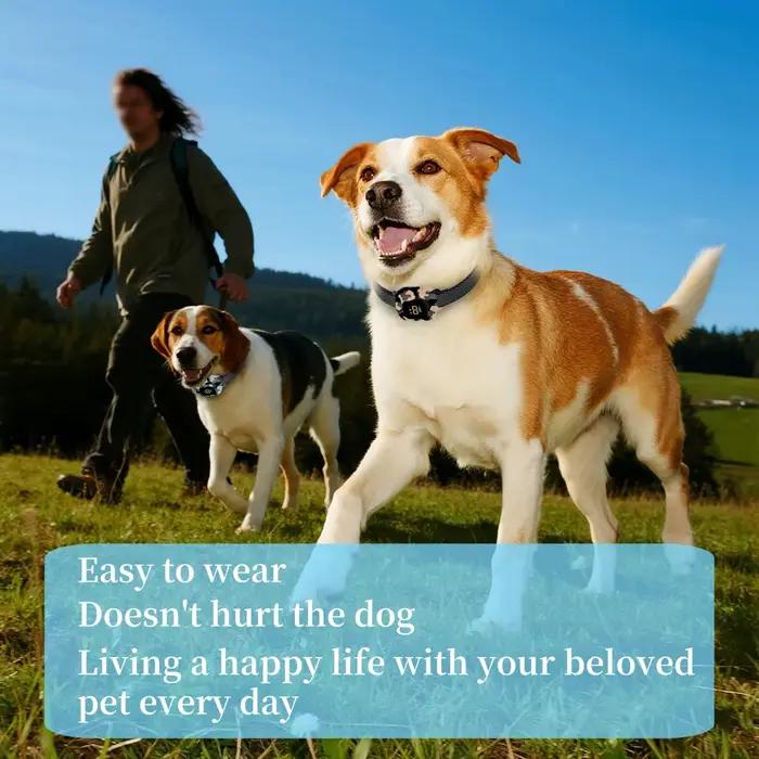 Collier de chien Anti-aboiement automatique de Camouflage