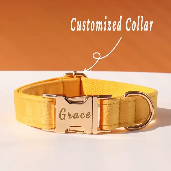 Ensemble d'arc de collier de chien personnalisé