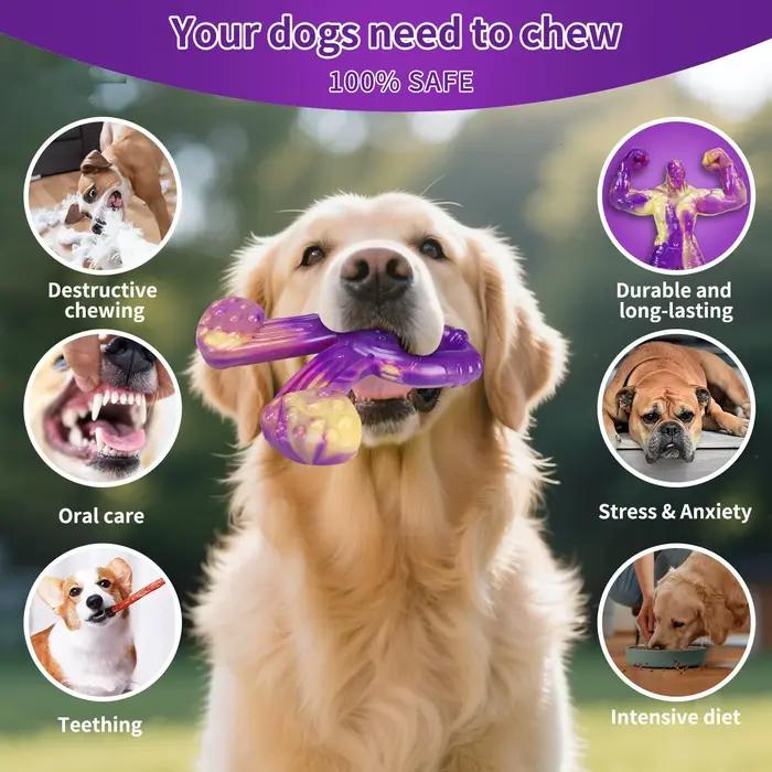 Jouets indestructibles pour chiens pour mâcheurs agressifs